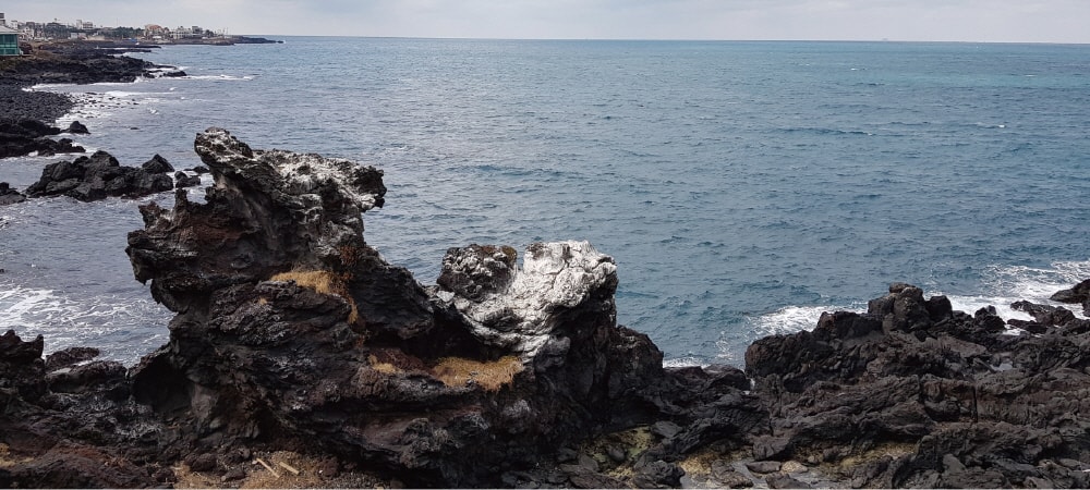 jeju dragon head rock